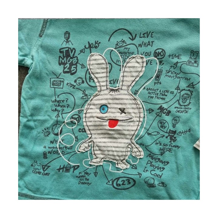 Outlet Suisse – Solderie & Neuf - Sweat turquoise lapin à capuche
