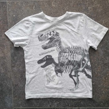 Outlet Suisse – Solderie & Neuf - T-shirt gris Tyrannosaurus Rex Boy