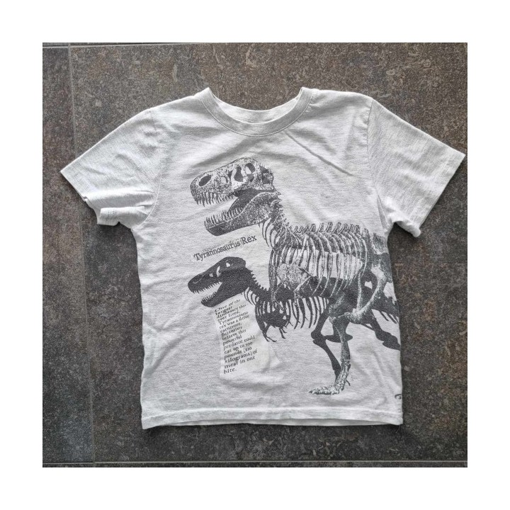 Outlet Suisse – Solderie & Neuf - T-shirt gris Tyrannosaurus Rex Boy