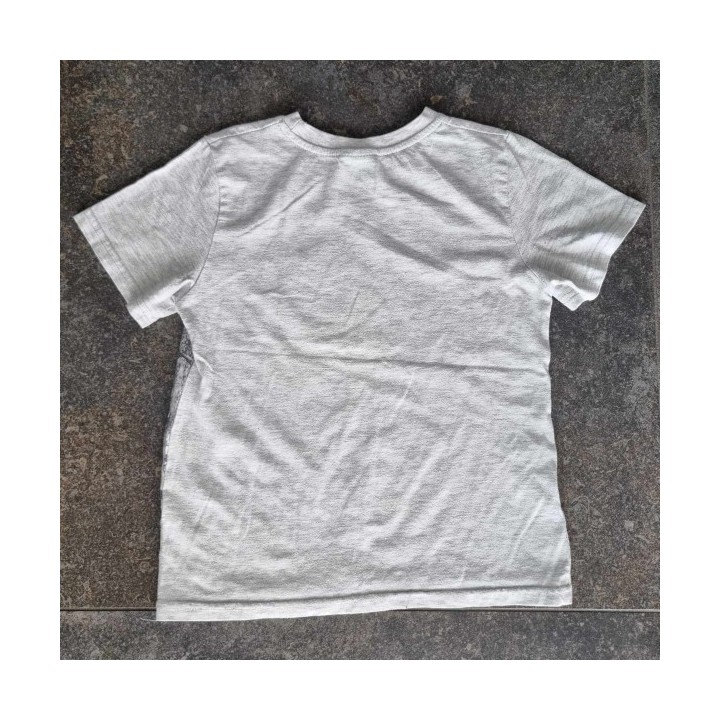 Outlet Suisse – Solderie & Neuf - T-shirt gris Tyrannosaurus Rex Boy