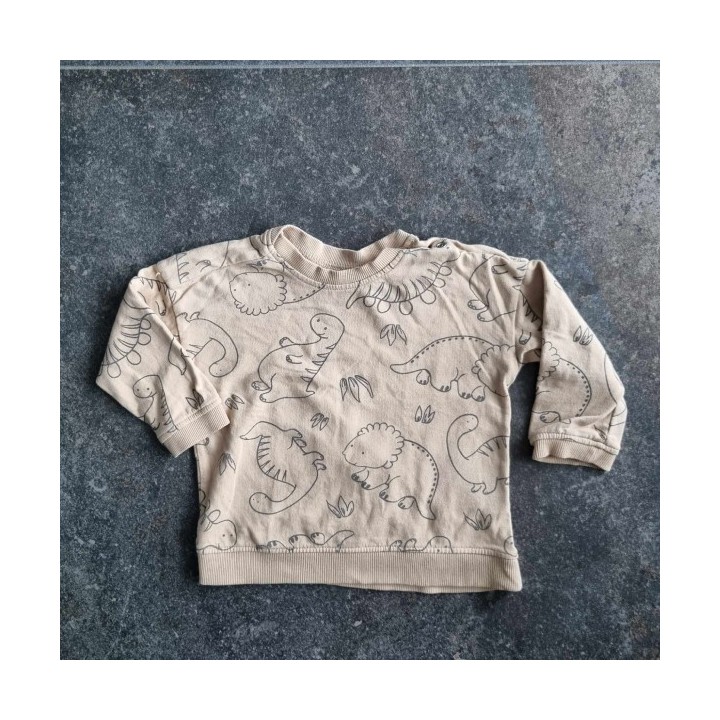 Outlet suisse – Solderie & Neuf - T-shirt brun préhistoire H&M