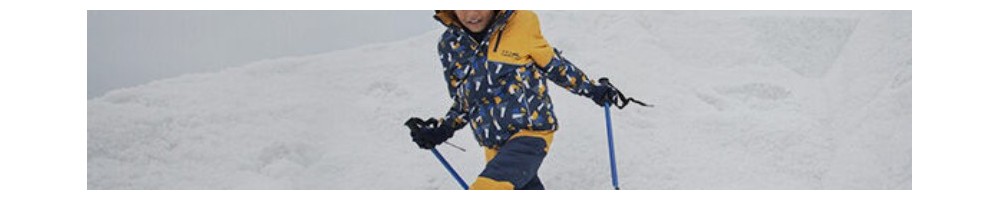 Ski
