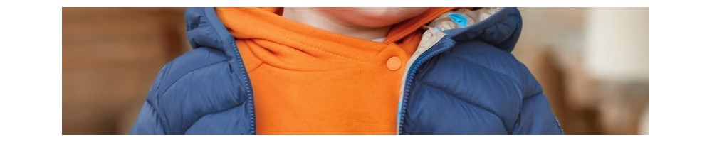Vestes