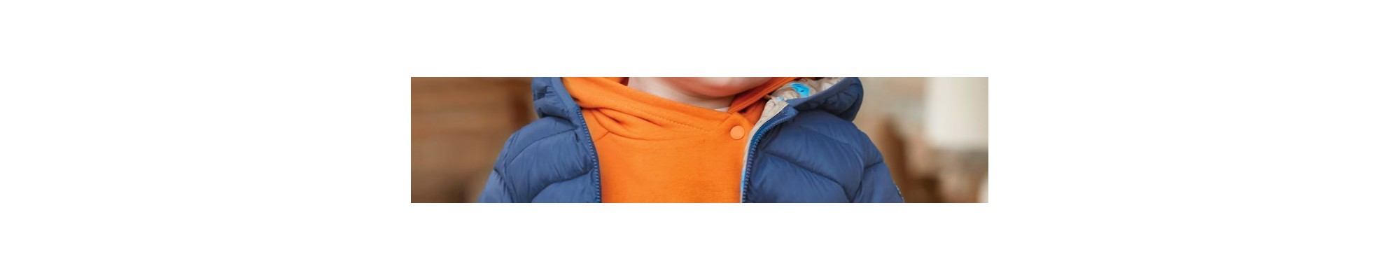 Vestes